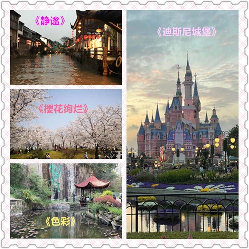 摄影-2..jpg