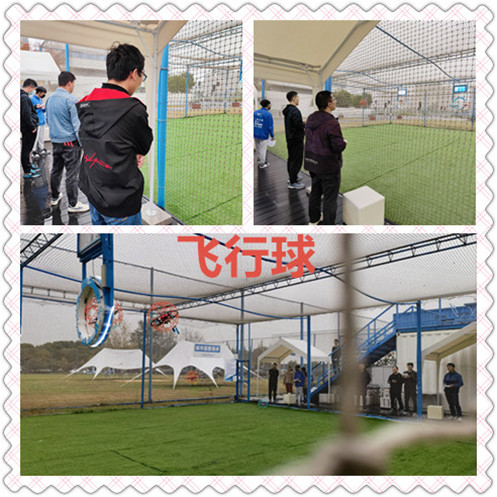 飞行球-.jpg